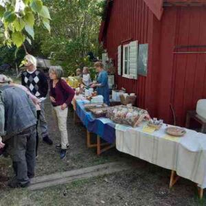 2019_kyrkhamnsdagen_51